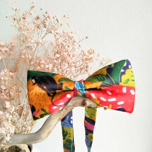 Noeud papillon Madagascar soie Nœud papillon Madagascar en soie